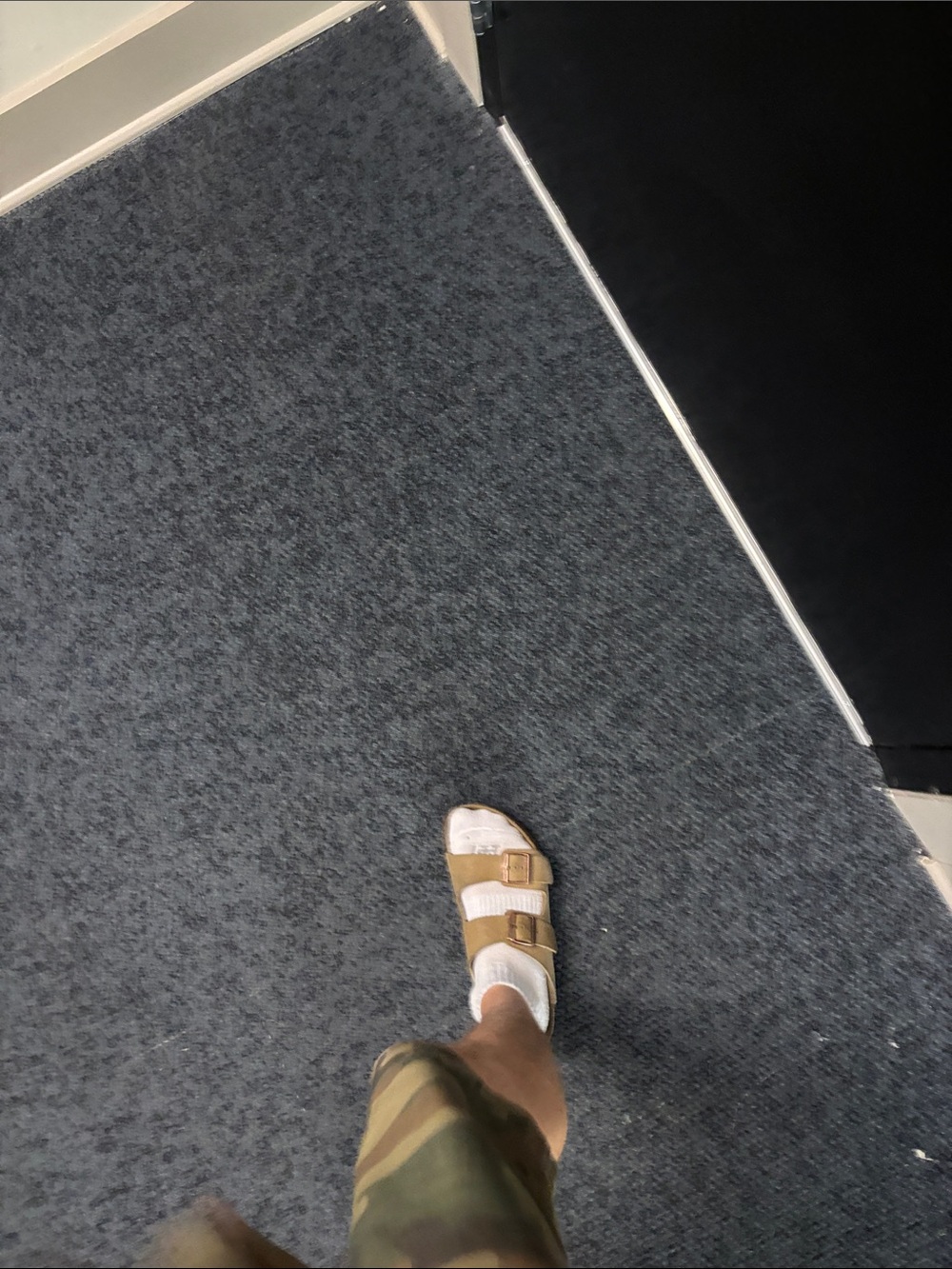Robin's Jean Tan Suede Double-Buckle Sandals